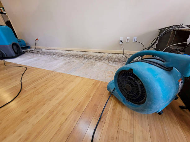 Professional Emergency Water Damage technician working in Oak Ridge, FL